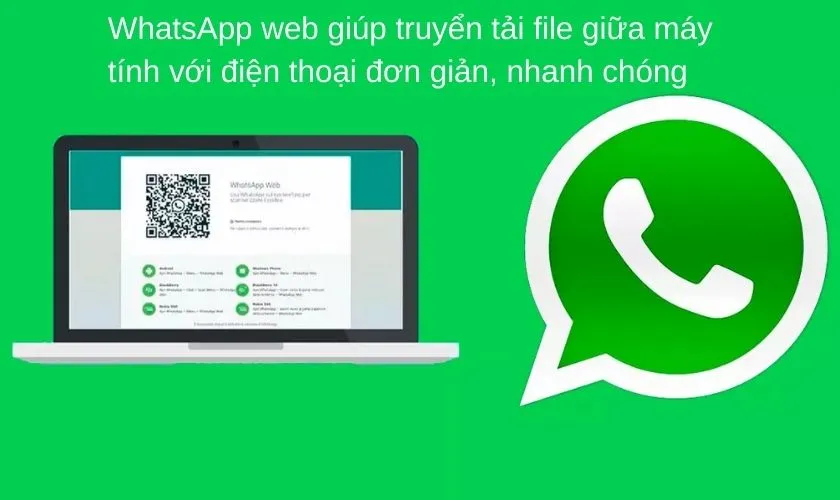 Hướng dẫn sử dụng WhatsApp web không cần tải WhatsApp PC